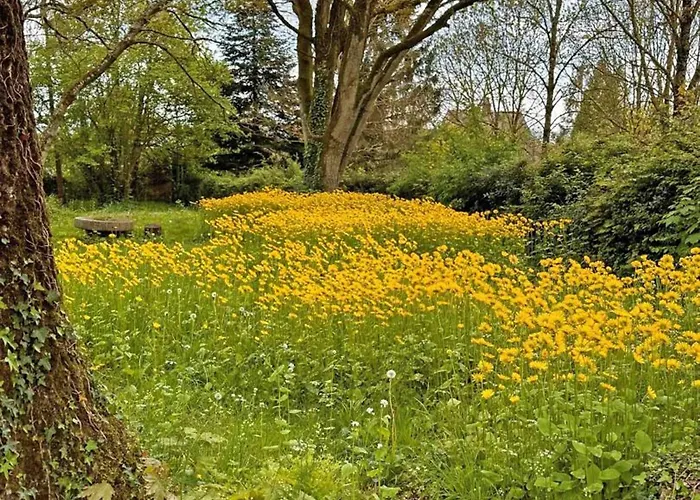 De Charme Avec Piscine Partagée Et Confort Inclus - Fr-1-497-199 La Chapelle d'Audaine